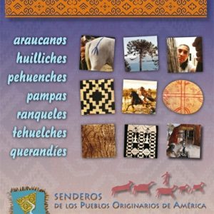 Los mapuches